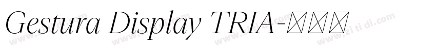 Gestura Display TRIA字体转换 Gestura Display TRIA字体转换
